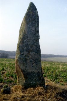 General view of symbol stone.