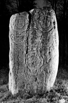 Keith Hall, Pictish symbol stone. View from S, dated 19 April 1996.