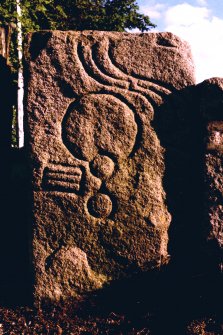 Drummies, Pictish symbol stone. View from N, dated 12 Sept. 1995.