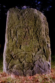 Logie Elphinstone (no. 3), Pictish symbol stone. View of front face, dated 14 November 1995.