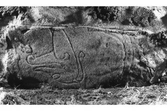 Clatt, Pictish symbol stones. View of stone ('Clatt 3') set into church wall, dated 16 November 1995.