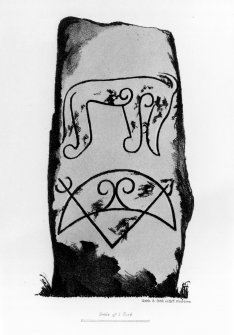 Logie Elphinstone (no.3) symbol stone, from J Stuart, The Sculptured Stones of Scotland, i, pl.4.
