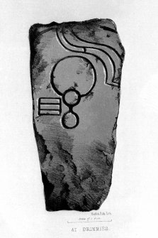 The Drimmies symbol stone from J Stuart, The Sculptured Stones of Scotland, i, pl.9
