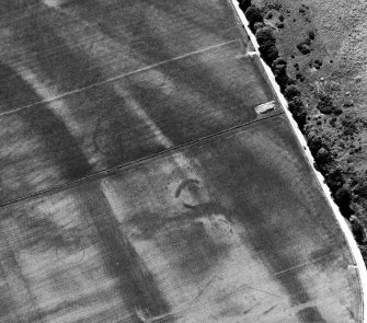 Oblique aerial view of the cropmarks of the two souterrains. Cropped version of the original.