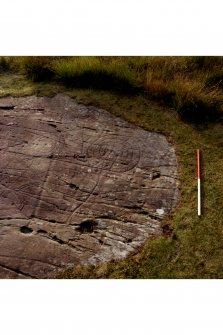 Detail of cup and ring markings on middle sheet.