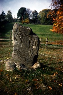 Eagle Stone, Strathpeffer.