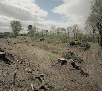 View of defences at E end of Inchtuthil fort following tree clearance, from NE.