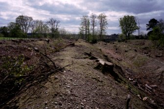 View of defences at E end of Inchtuthil fort following tree clearance,  from N.