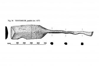 Tentsmuir, paddle