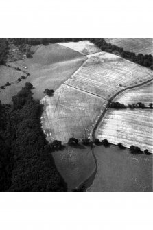 Oblique aerial photograph