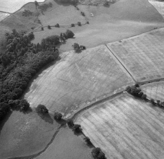 Oblique aerial photograph