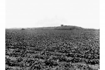 Excavation photograph. 'Kilminster Mound, 1904' Original in PRINT ROOM.