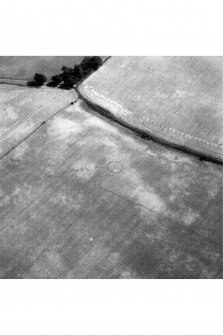 Oblique aerial view.