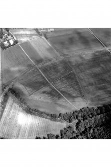 Inveresk: oblique air photograph of Roman temporary camps, enclosure, ring-ditches and long cist burials