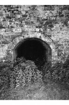 General view of arched access tunnel in kiln block obscured by undergrowth.