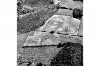 Oblique aerial view.