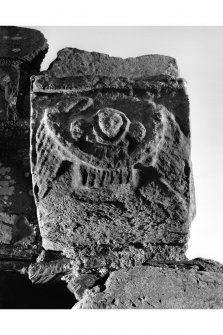 Iona, Iona Nunnery.
Detail of carved corbel on South wall of nave picturing an angel bearing a scroll.