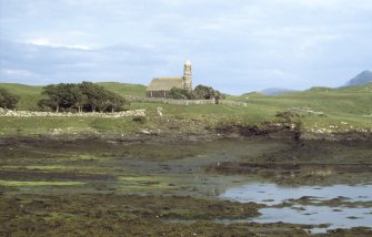 Field survey on Canna.