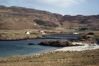 Field survey on Canna.