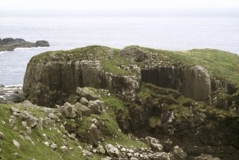 Field survey on Canna.