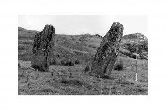 Standing stones, Carnassarie, from SW