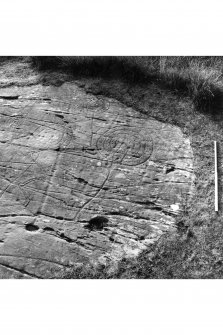 Achnabreck, cup-and-ring markings