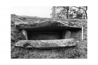 Cist, Poltalloch (RCAHMS 1988 No. 104 (1)), from SE