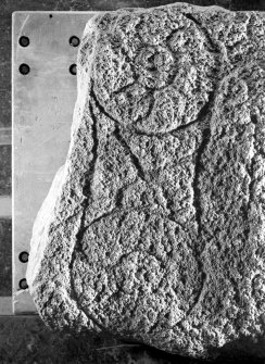 Dead Man's Howe, Wantonwells, Pictish symbol stone. Detail of carved symbol.