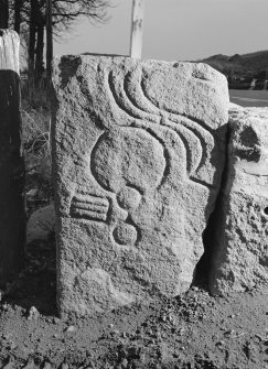 View of face of the Drummies Pictish symbol stone.