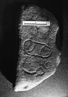 Carved stone for inclusion in Pictish Handlist.