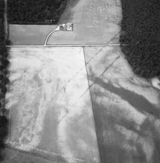 Oblique aerial view centred on cropmarks of the cursus with other cropmarks adjacent.