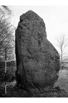 View of standing stone from W.