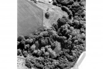 Scanned image of an oblique aerial view.
Cropped image.