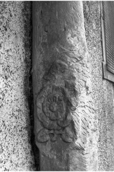 Detail of rose carved into column trunk