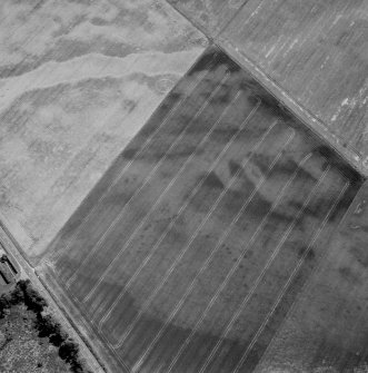 Oblique aerial view. Cropped.