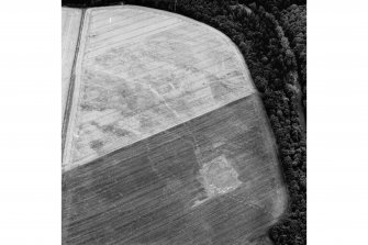 Eastfield, Inveresk: oblique air photograph of palisaded homestead, enclosures and pit-alignment