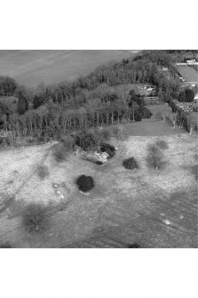 Megginch Chapel, Megginch Castle.
General aerial view.