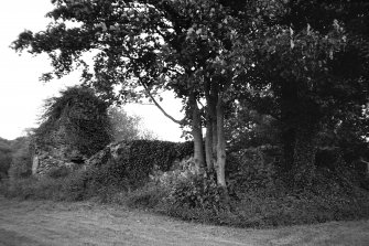 Rait churchyard, general view