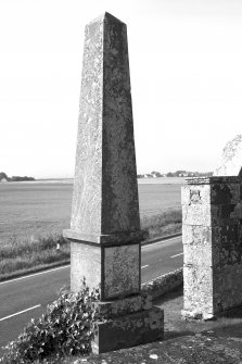 General view of obelisk of James Maclean, architect