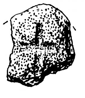 Digital copy of drawing of Inchmarnock, cross-marked stone (no.2). Now in Bute Museum.