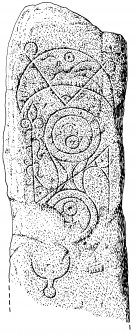 Tote, 'Clach Ard', Skye. Pictish symbol stone.