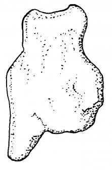 North Rona, Lewis. Fragment of slab (12).