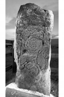 Clach Ard, Tote. Pictish symbol stone.