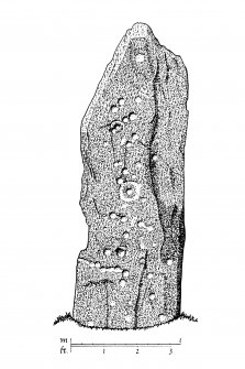 Publication drawing; Ballymeanoch stone (C), SW face. Photographic copy.