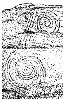 Publication drawing; Temple Wood SW circle, upright stone, showing spiral decoration. Photographic copy.