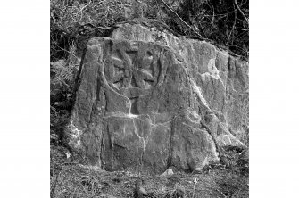 Daltote Cottage. Early Christian cross carved on rock outcrop.