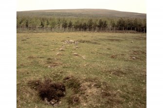 View of sheep-dip from E.