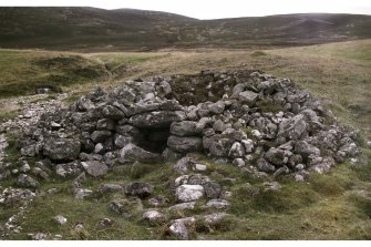 Dubrach, kiln (Mar93 595) from N W. Mar Lodge condition survey 1996