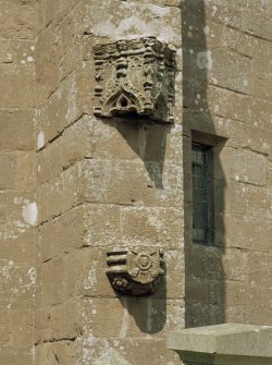 Detail of canopy and corbel on buttress of Arbuthnott Aisle.