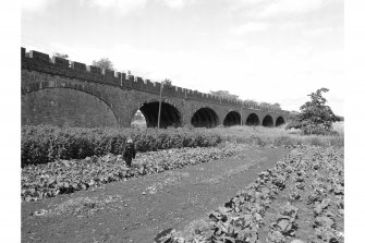 Friockheim, Railway Viaduct
General view of E facing side, from SE